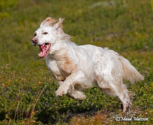 090820sanne3.jpg