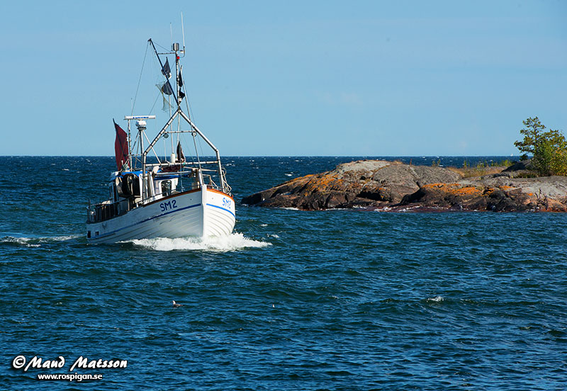 fiskebåt