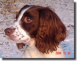 dec 2004