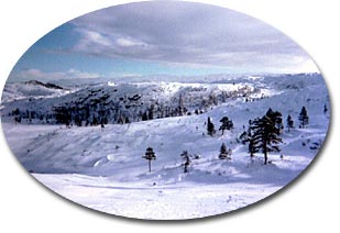 birkfjal.jpg
