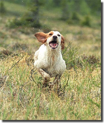 foto: Maud Matsson