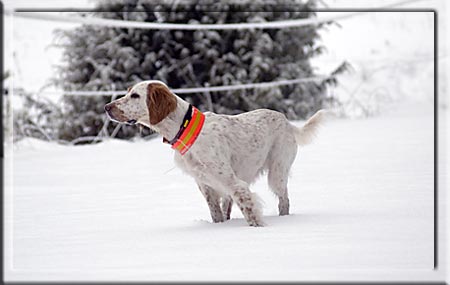060106 BORDER=