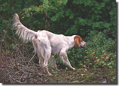 Foto: Maud Matsson
