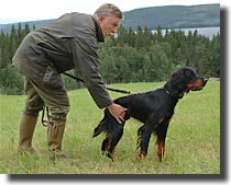 Anders