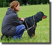 Trosse